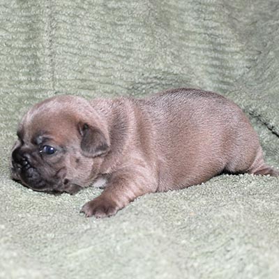 Thumb Gallery 7