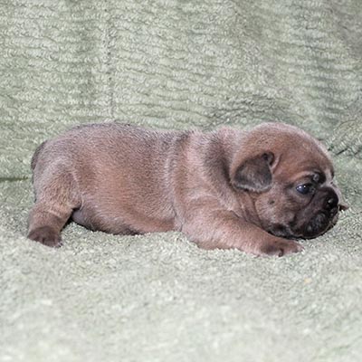 Thumb Gallery 11