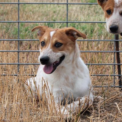 Thumb Gallery 2